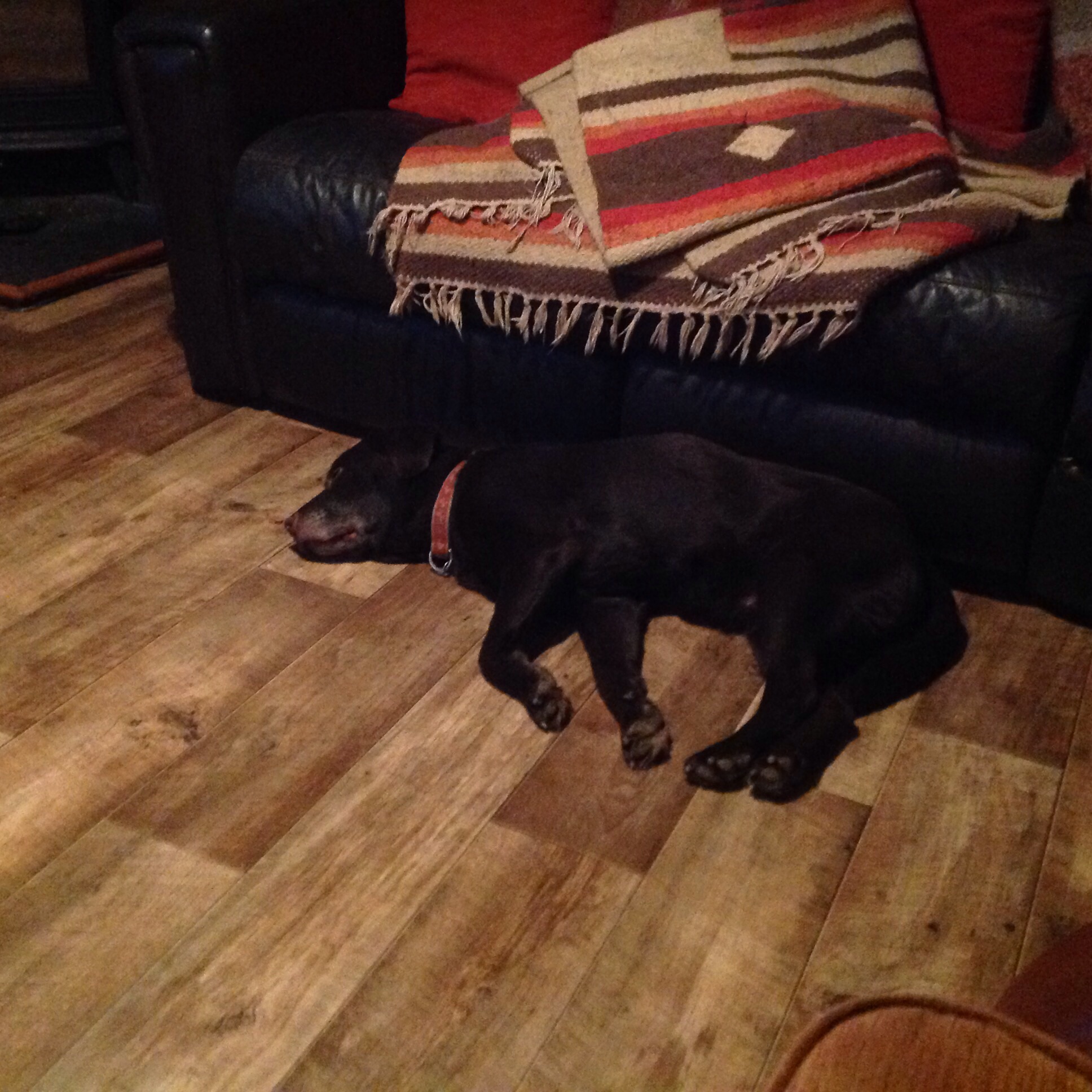 Minnie - Michelle Elwell