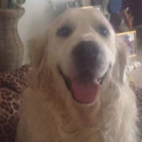 Sandy - Kerry Mccarthy