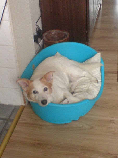 Tess - LollipopSiouxsie 