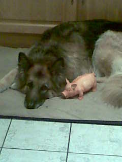 Keighley - jakiyoung 