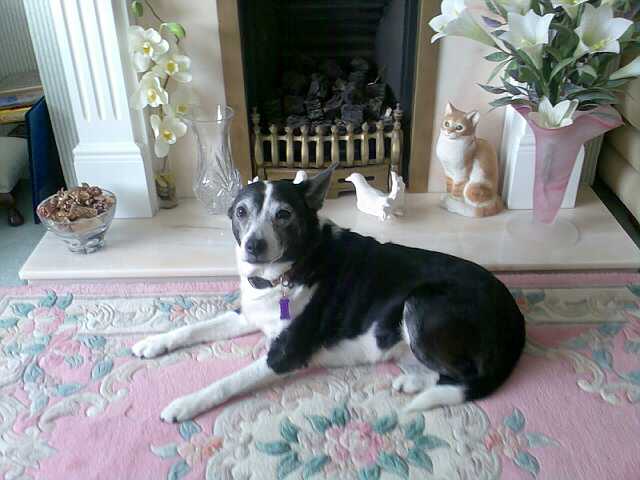 Ceri May  - jo cleobury 