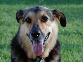 Fluffy - FluffysMummy 