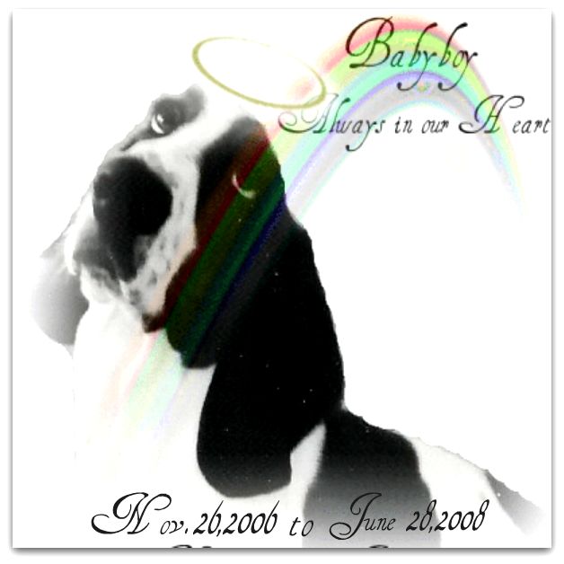 Babyboy usa - Justice4babyboy 