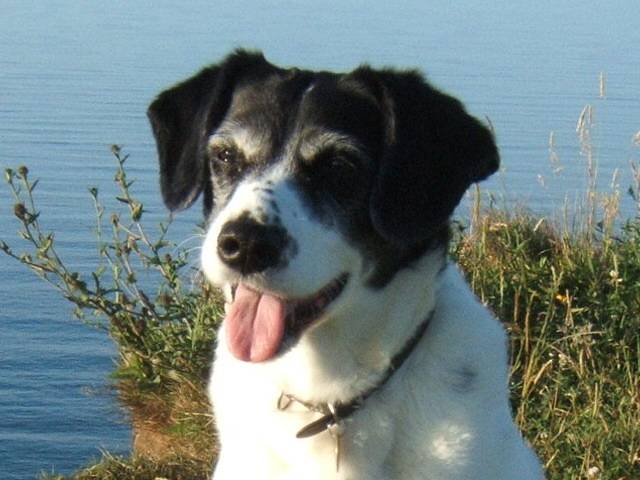 Mindy - stevearmitage123 