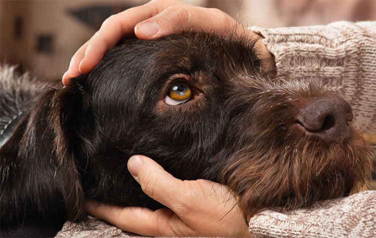 10 ways to make 2019 the best year ever!