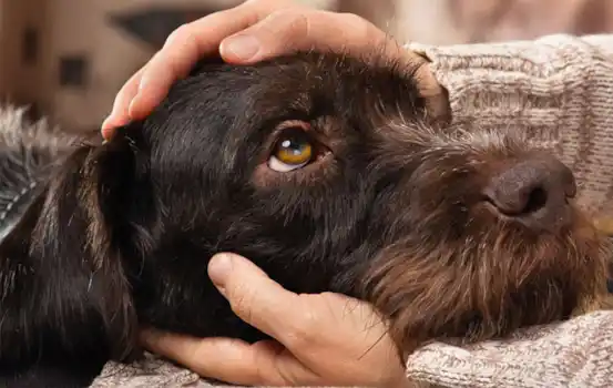 10 ways to make 2019 the best year ever! 10 ways to make 2019 the best year ever!