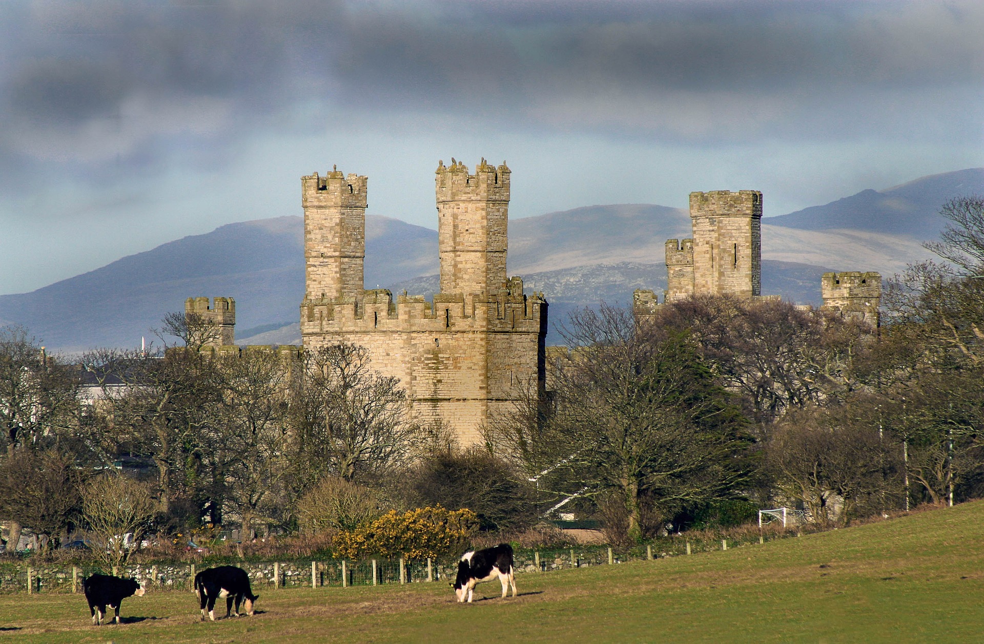 9_caernarfoncastle1527073_1920.jpg