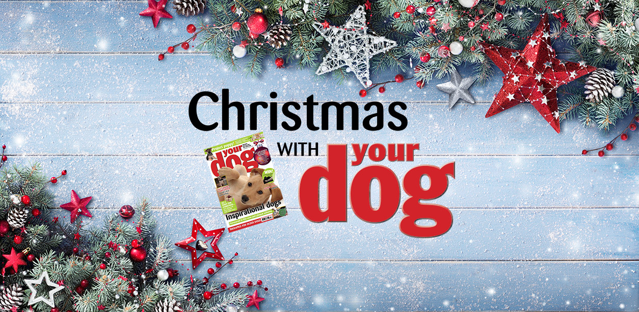 Gifts for dog lovers