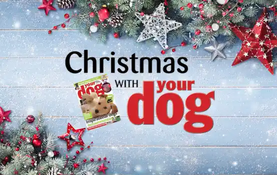 Gifts for dog lovers Gifts for dog lovers