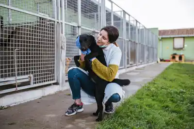 How to adopt a rescue dog How to adopt a rescue dog