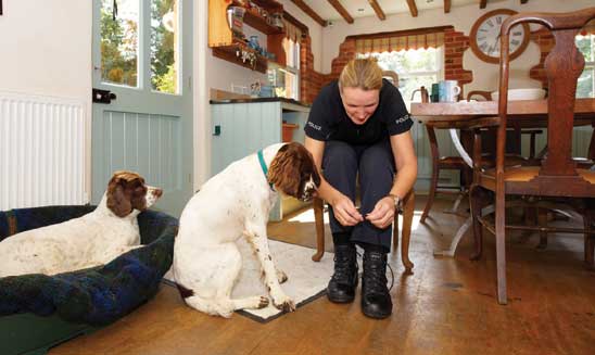 Can I have a dog if a work full-time?