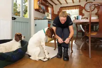 Can I have a dog if a work full-time? Can I have a dog if a work full-time?