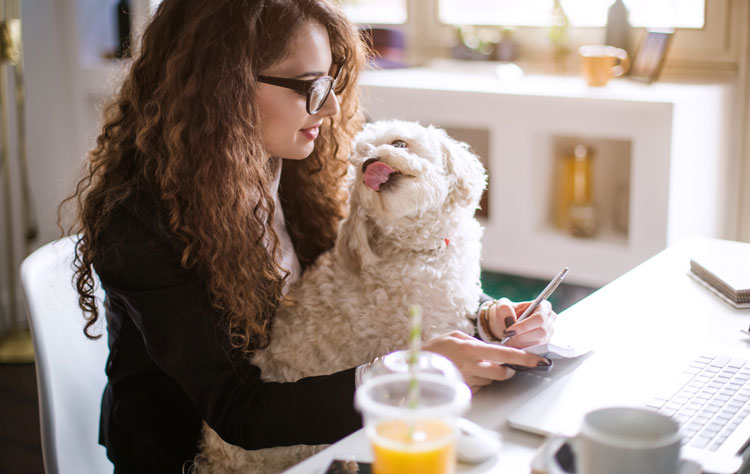 Bring Your Dog To Work Day