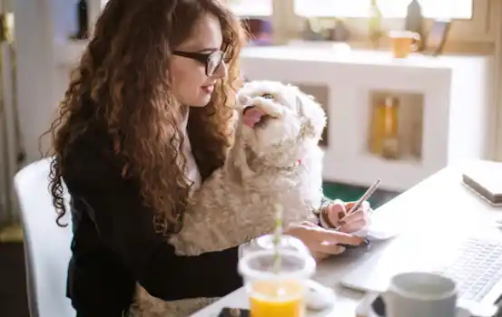 Bring Your Dog To Work Day Bring Your Dog To Work Day