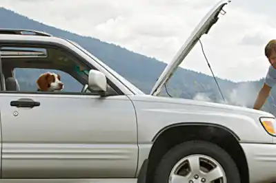 car_breakdown.jpg car_breakdown.jpg