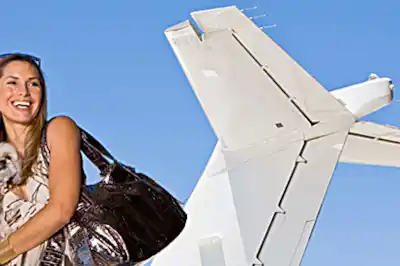 come_fly_with_me.jpg come_fly_with_me.jpg