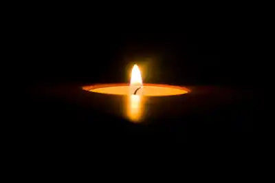 Cremating your dog Cremating your dog