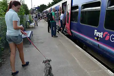 dogtransport.jpg dogtransport.jpg