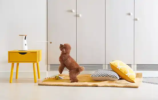 Furbo Dog Camera Furbo Dog Camera