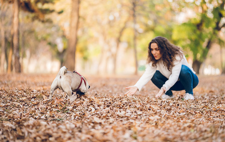 How do I get my dog to listen to me?