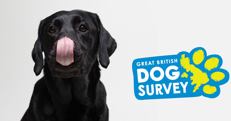 The Great British Dog Survey