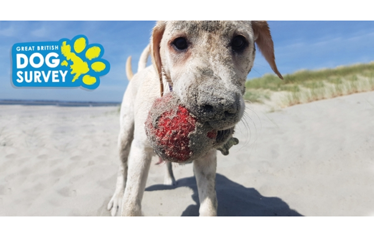 Great British Dog Survey