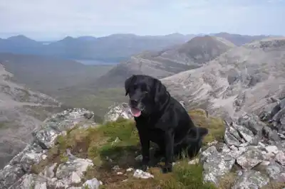 highlands_hills.jpg highlands_hills.jpg