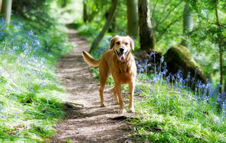 Tips for a happy hassle free holiday