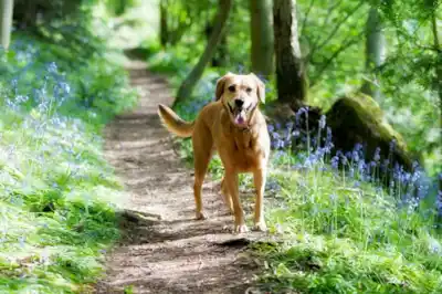 Tips for a happy hassle free holiday Tips for a happy hassle free holiday