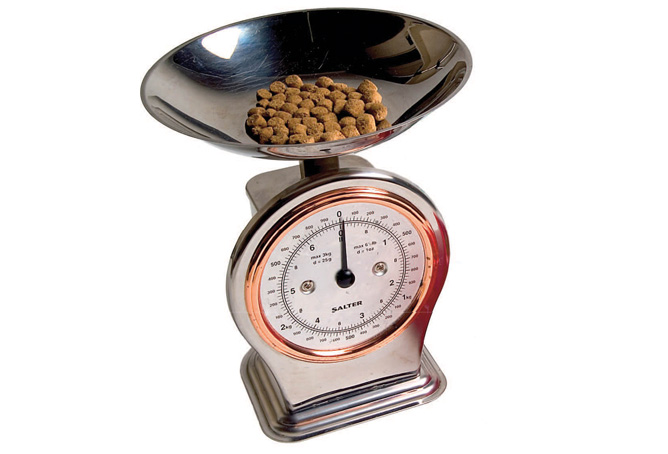 How much food does my dog need to eat?