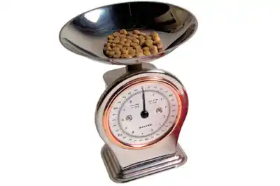 How much food does my dog need to eat? How much food does my dog need to eat?