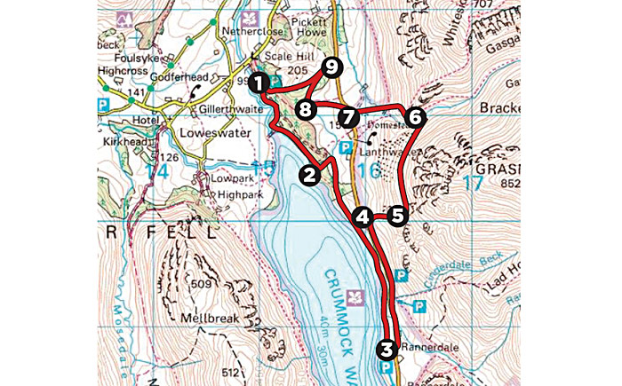lanthwaite_wood_map.jpg