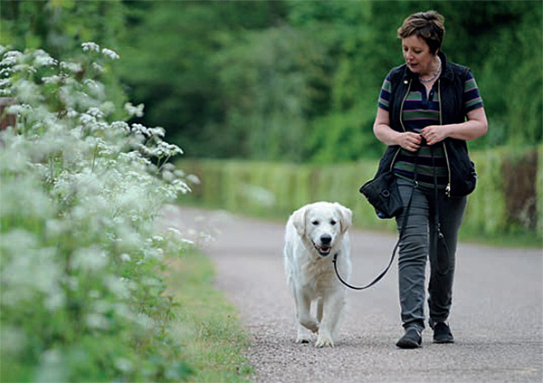 Teach your dog loose-lead walking