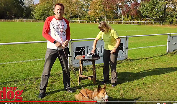 Walking your dog on a loose lead