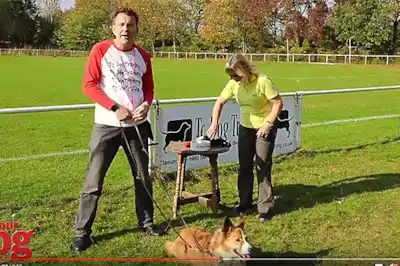 Walking your dog on a loose lead Walking your dog on a loose lead