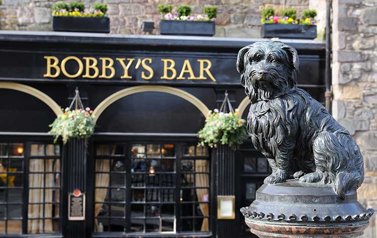 Top 10 monumental dogs