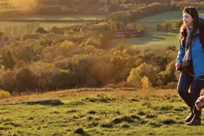 north_downs_main.jpg north_downs_main.jpg