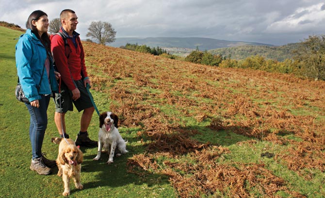 offas_dyke_path2.jpg