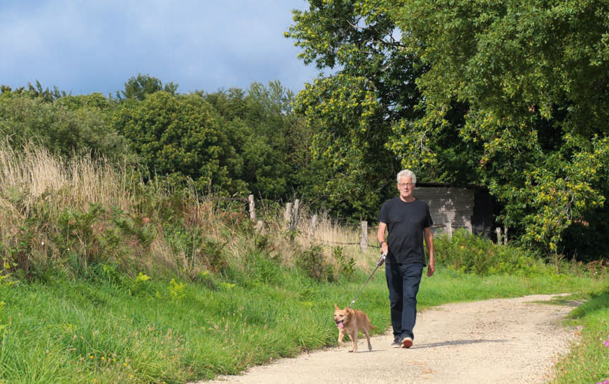 How to make your dog walks rewarding