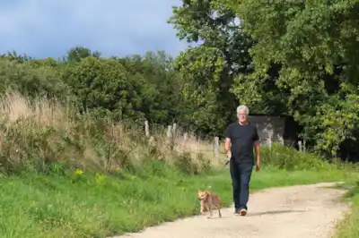 How to make your dog walks rewarding How to make your dog walks rewarding