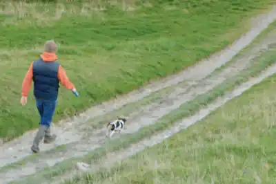 ridgeway_main.jpg ridgeway_main.jpg