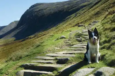 snowdonia_main1.jpg snowdonia_main1.jpg