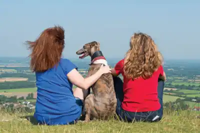 south_downs_main.jpg south_downs_main.jpg