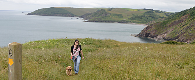 south_west_coastal_path.jpg