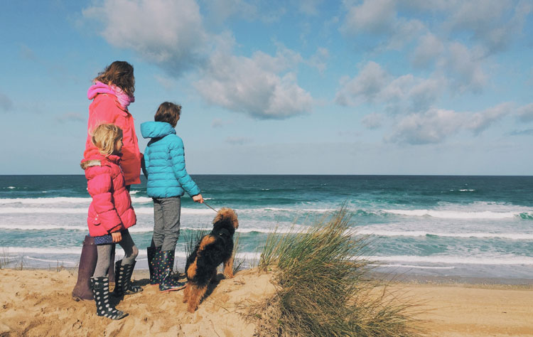 Walking your dog in the spring