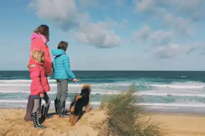 Walking your dog in the spring Walking your dog in the spring