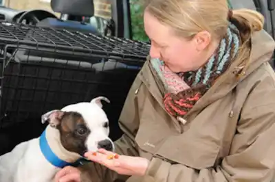 travel_sickness.jpg travel_sickness.jpg