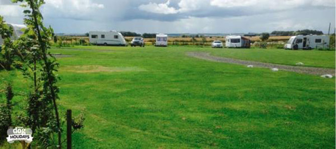 westfield_paddock_caravan_site.jpg