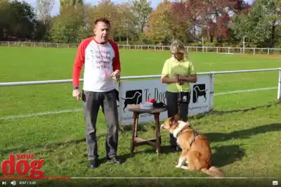 Teach your dog the whistle recall Teach your dog the whistle recall